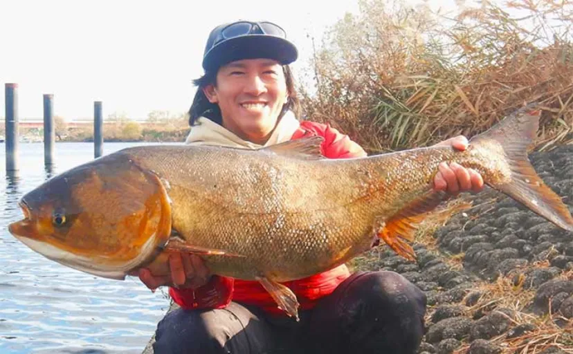 荒川温排水エリアでの冬のハクレン釣りで95cm級本命2尾をキャッチ【埼玉】