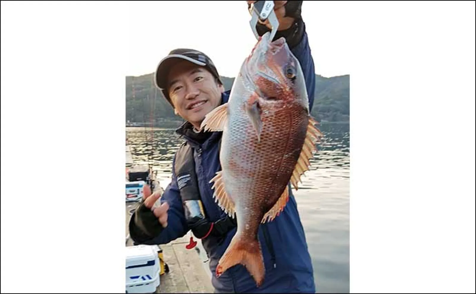 海上釣り堀でマダイ2桁【三重・迫間浦】青物放流タイミングでワラサも手中