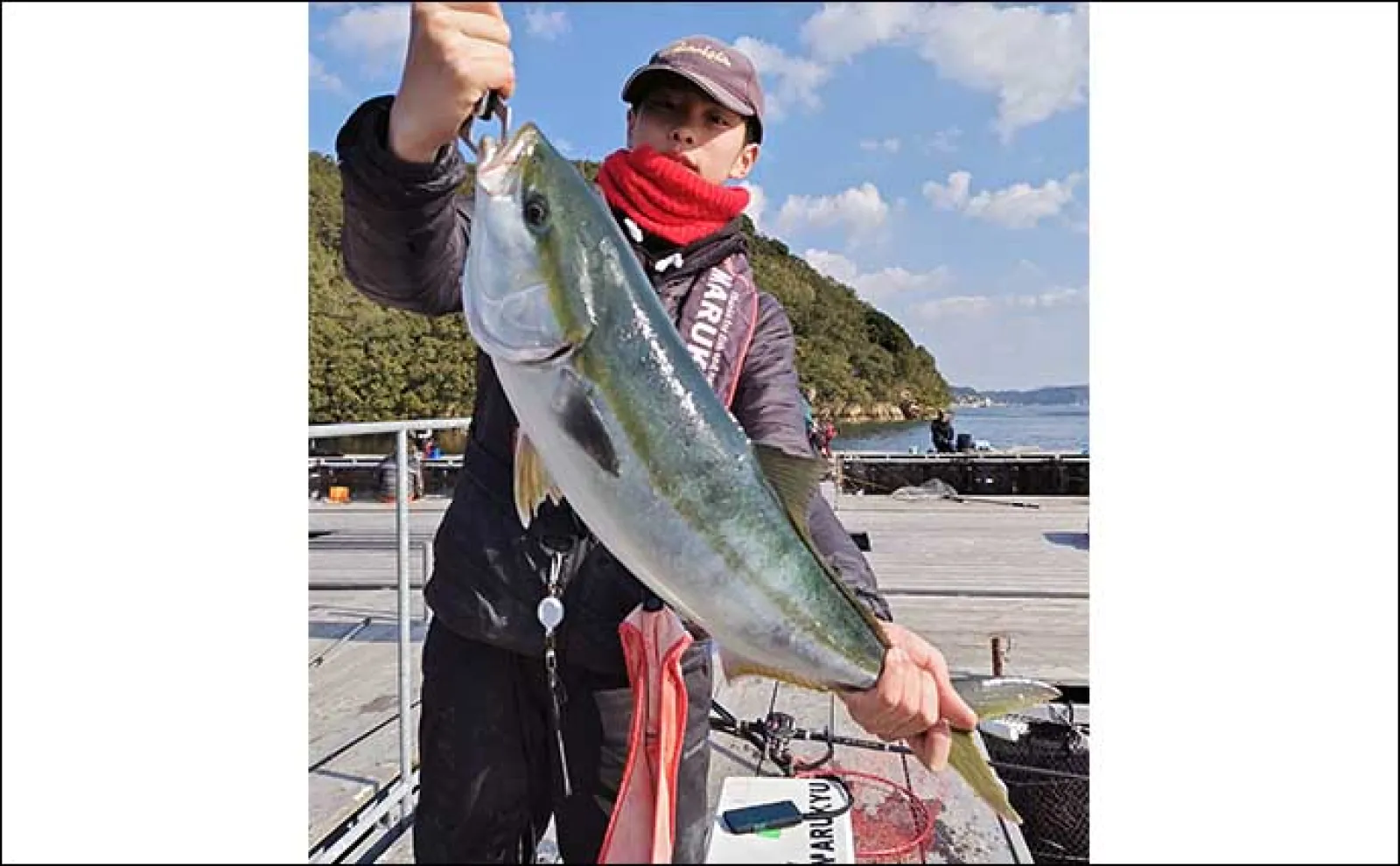 海上釣り堀でマダイ2桁【三重・迫間浦】青物放流タイミングでワラサも手中