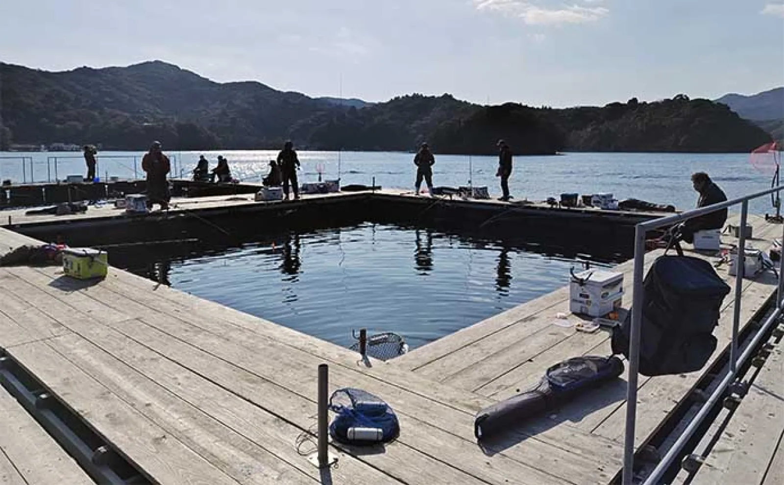 海上釣り堀でマダイ2桁【三重・迫間浦】青物放流タイミングでワラサも手中