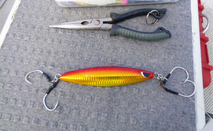 伊勢湾でのオフショアジギングでワラサにサワラをキャッチ【愛知