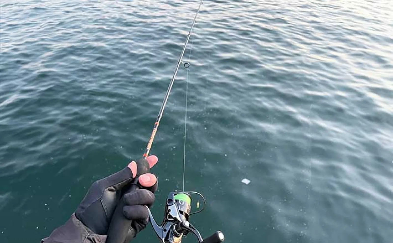 4ft台のアジングロッドの特徴を紹介【向いてる釣り場と向いてない