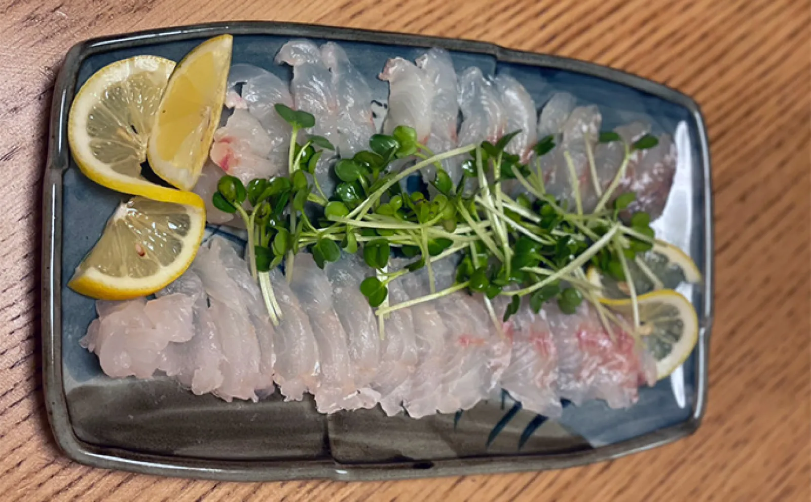 葉山沖ボートルアー釣行でレア魚『コモンハタ』【神奈川】浅場ではオオモンハタも