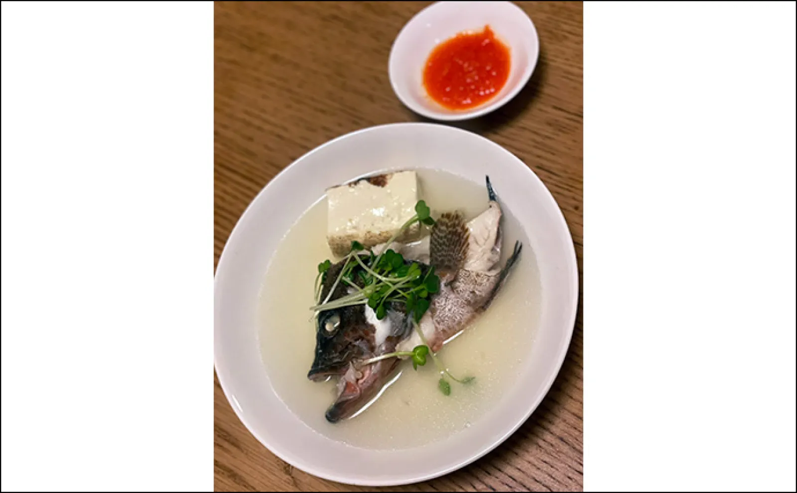 葉山沖ボートルアー釣行でレア魚『コモンハタ』【神奈川】浅場ではオオモンハタも