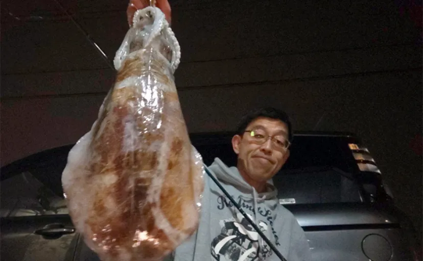 冬の堤防エギング釣行でキロ超えアオリにヤリイカ【京都府】まさかのヒラメも登場