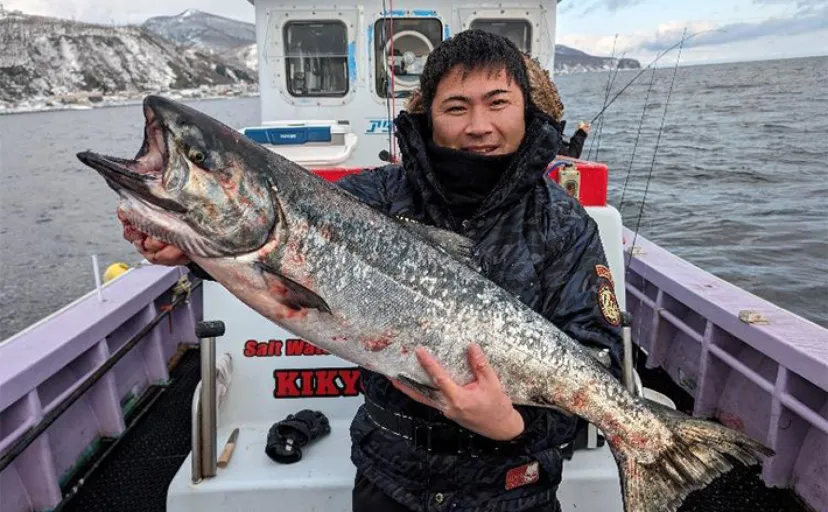 知床のサクラマスをオフショアジギングで狙う【北海道】本命不発もキングサーモン見参
