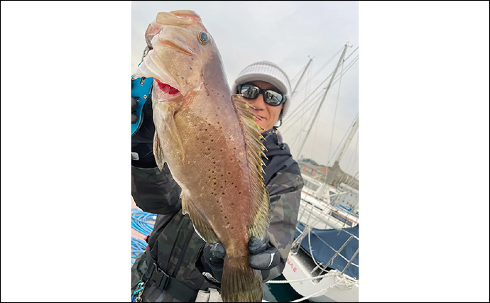 葉山沖ボートルアー釣行でレア魚『コモンハタ』【神奈川】浅場ではオオモンハタも