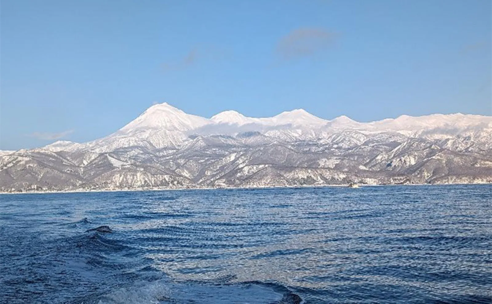 知床のサクラマスをオフショアジギングで狙う【北海道】本命不発もキングサーモン見参