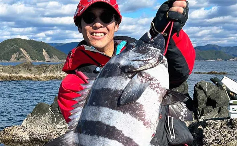 磯での底物釣りで57cmイシダイ【三重・紀北】高水温の影響で年中狙うことが可能に