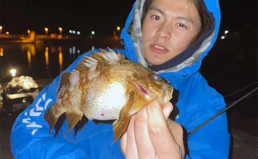 周防大島の堤防ロックフィッシュゲームで良型のメバルにアラカブ【山口】