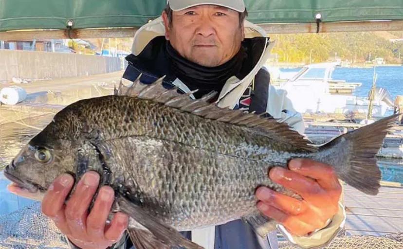 【カカリ釣り釣果速報】カキの半貝エサで51cm年無しチヌ堂々浮上（三重）