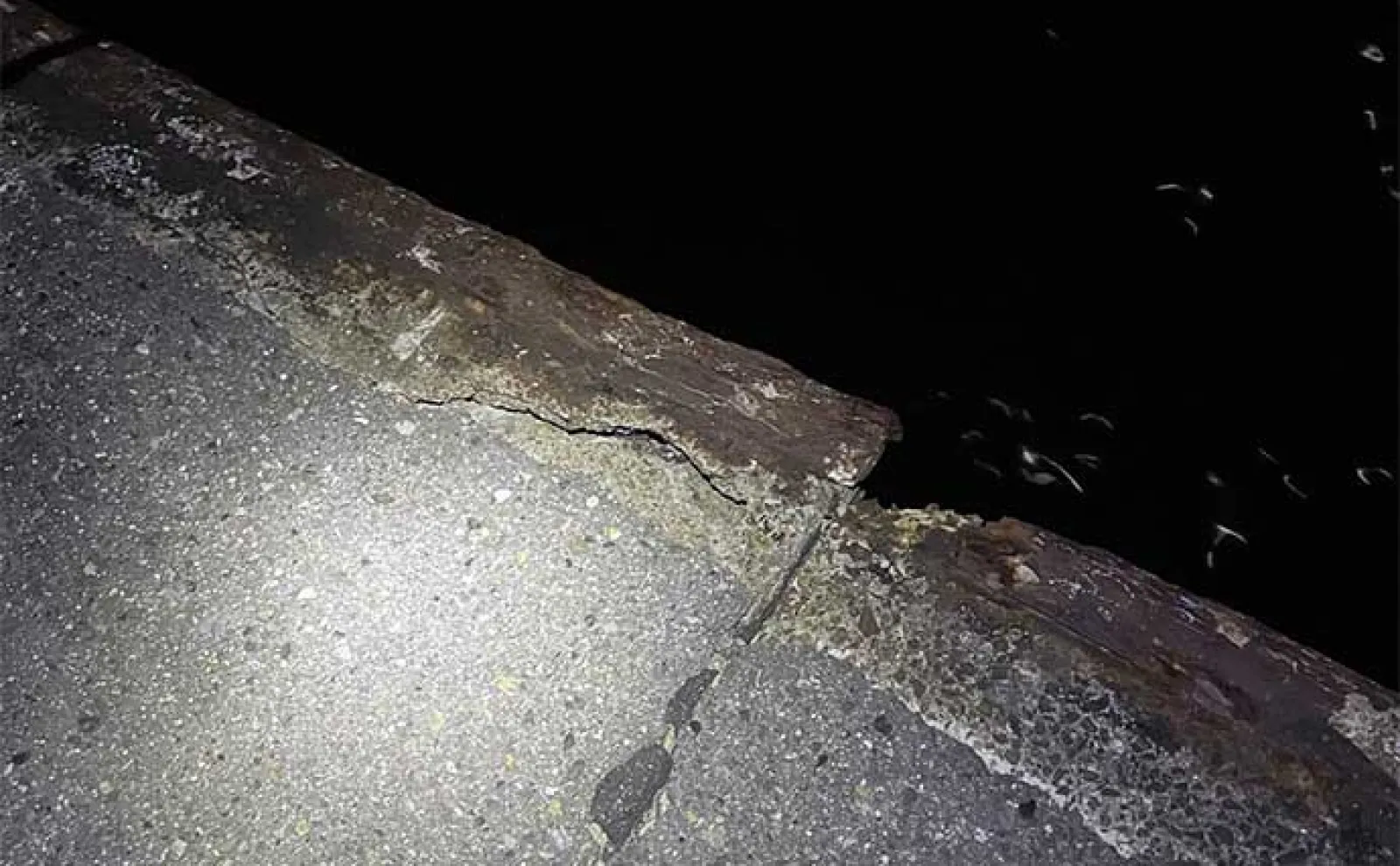 身近にある小さな漁港でアジ・メバル・カサゴを釣る方法 夜釣りが鉄板か