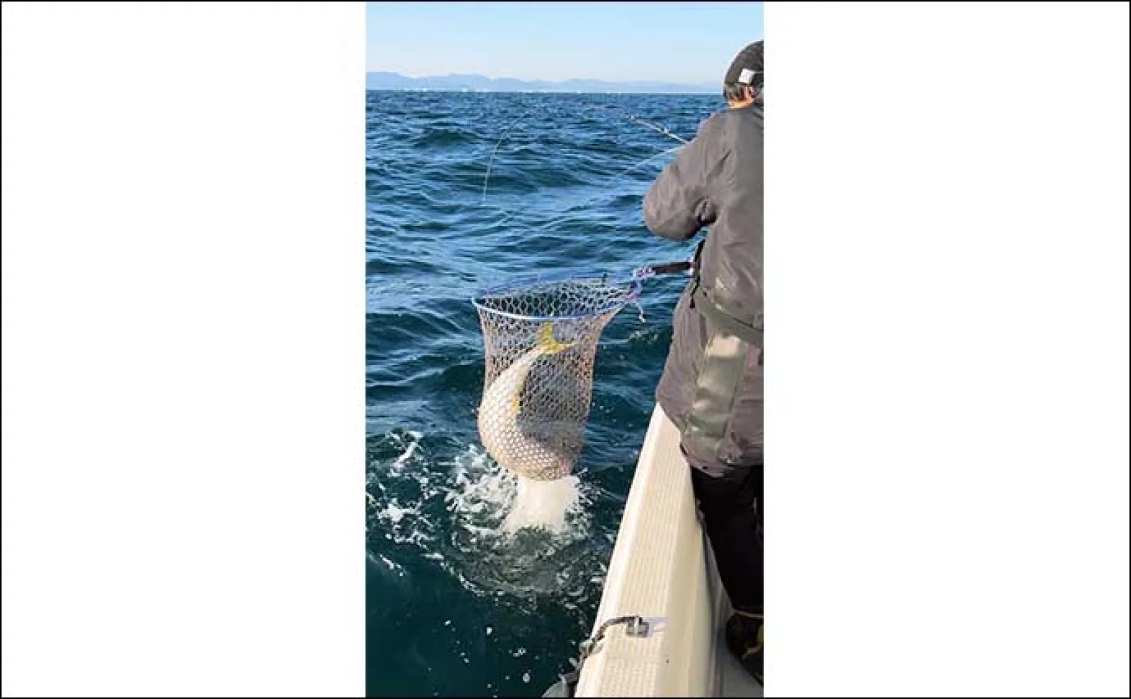 真冬の伊勢湾ジギングで85cmブリ登場 ただ巻き&ロングフォールが的中