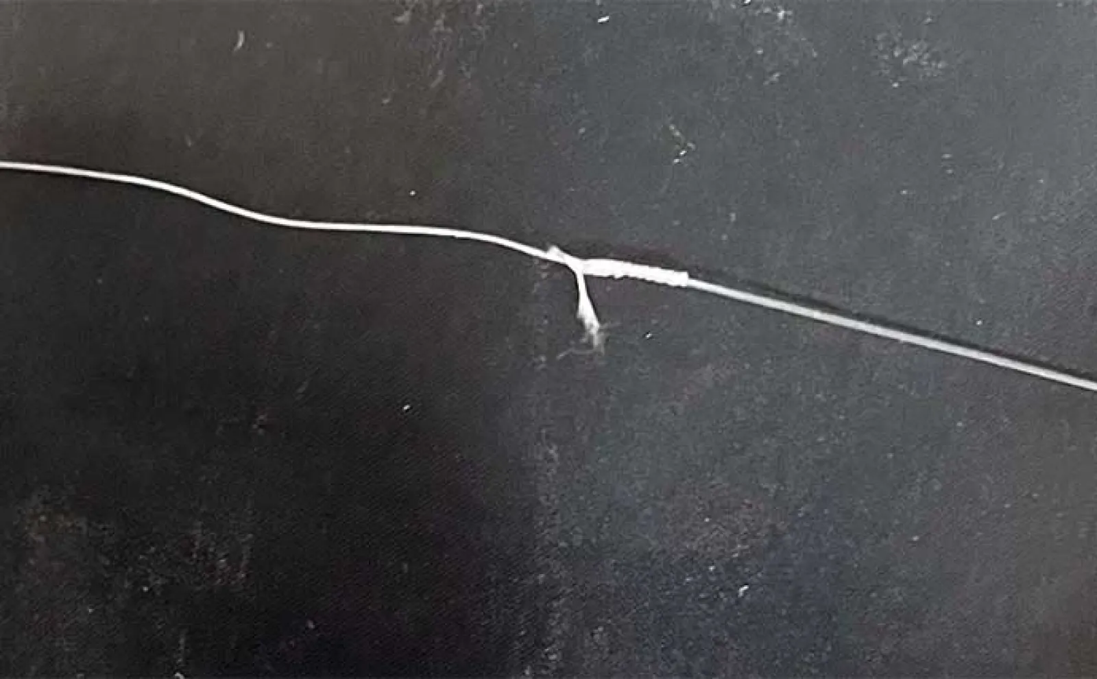 釣り糸(ライン)の色は魚から見えている? 太さ&アクションの方が影響ありか