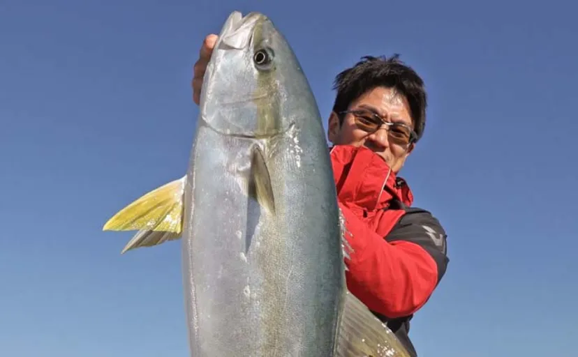 玄界灘オフショアジギング釣行で10kg級ヒラマサ船中連打【福岡・遊漁船クルーズ】
