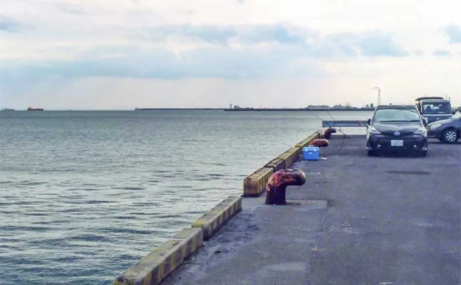 霞ヶ浦埠頭でのエサ釣りでカサゴ&メバル好捕【三重】藻エビが当たりエサか