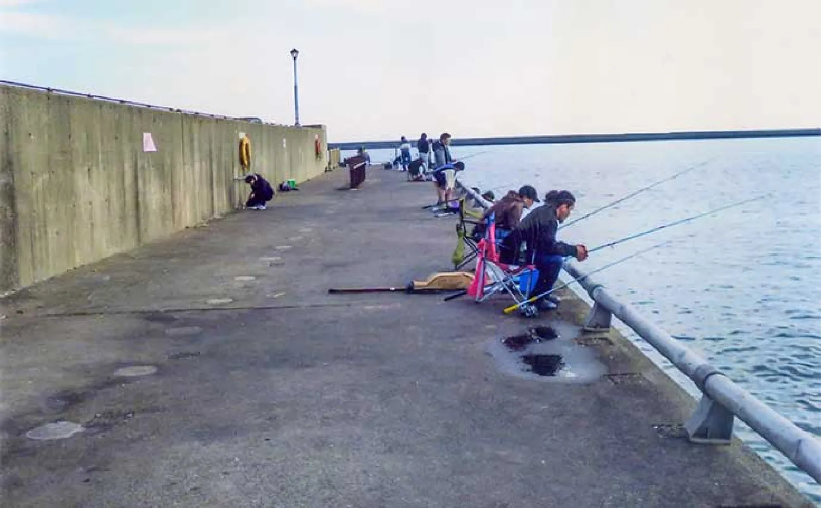 霞ヶ浦埠頭でのエサ釣りでカサゴ&メバル好捕【三重】藻エビが当たりエサか