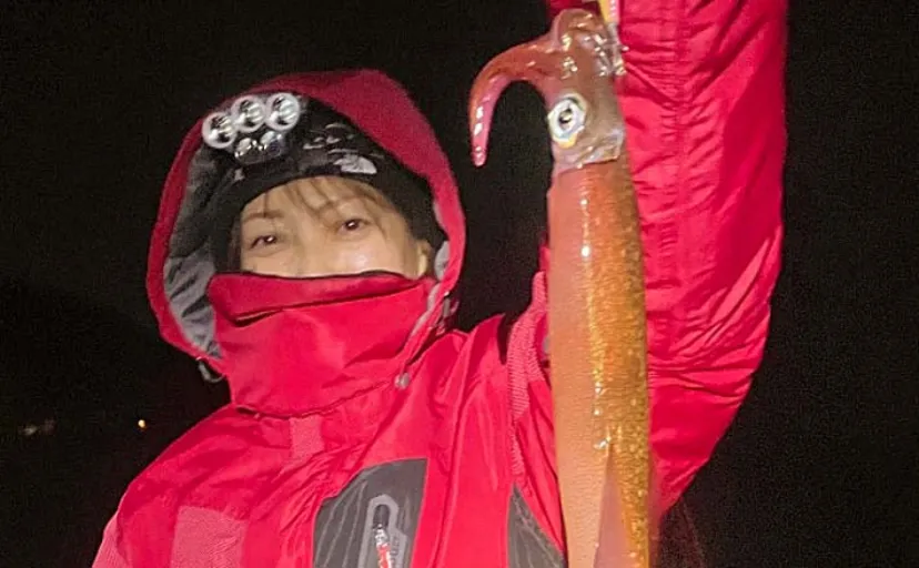 越前海岸のエギング釣行で胴長36cm頭にヤリイカ8匹【福井】邪道エギにヒット