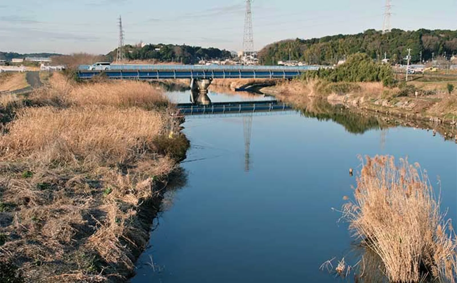 今週のヘラブナ推薦釣り場2024【千葉県・大津川】