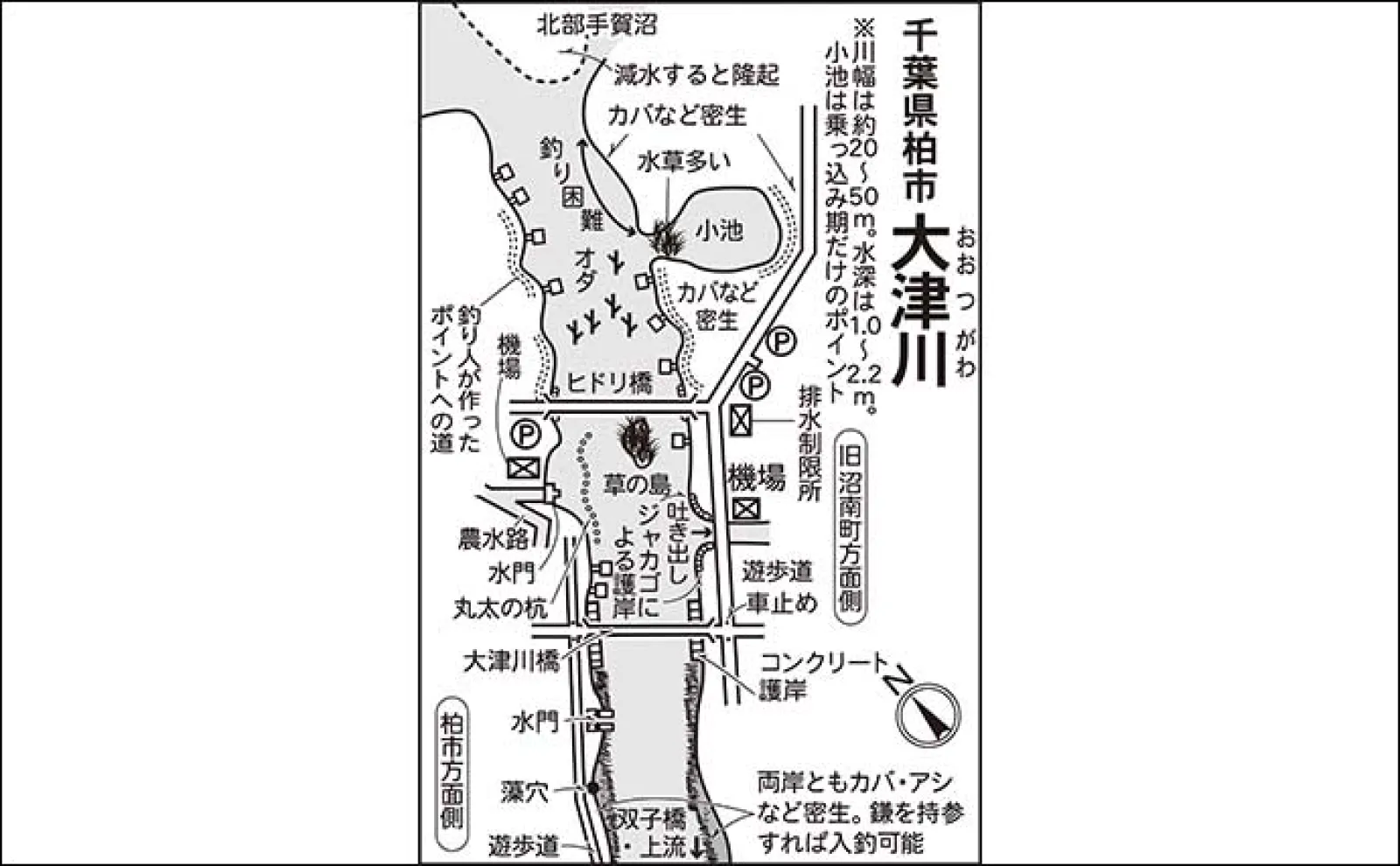 今週のヘラブナ推薦釣り場2024【千葉県・大津川】