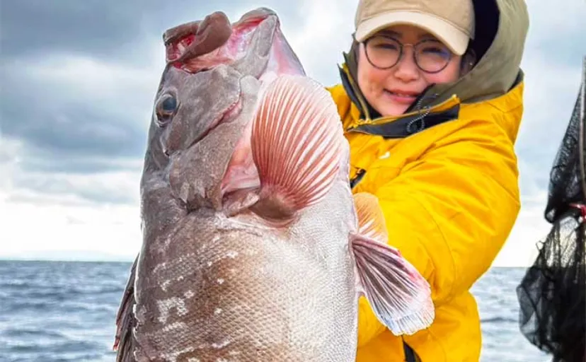 【船のルアー釣り釣果速報】スロージギングで大型タカバ（マハタ）が堂々浮上