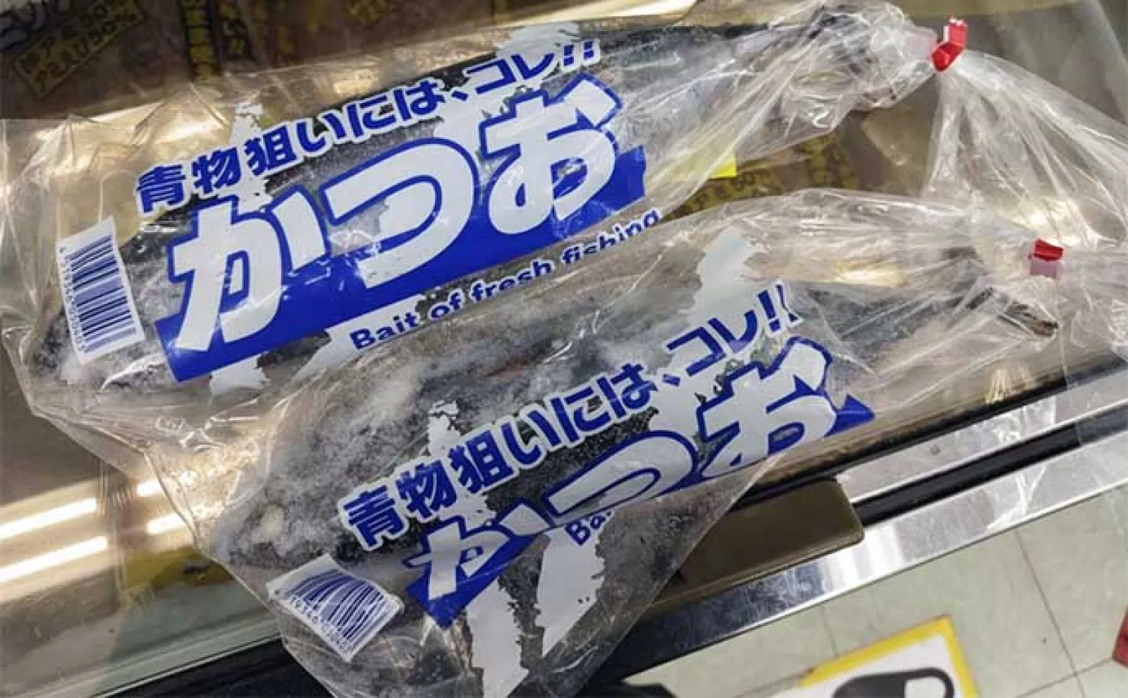 海上釣り堀で青物を釣る方法【魚種・タックル・仕掛け・エサ・狙うタイミングを解説】
