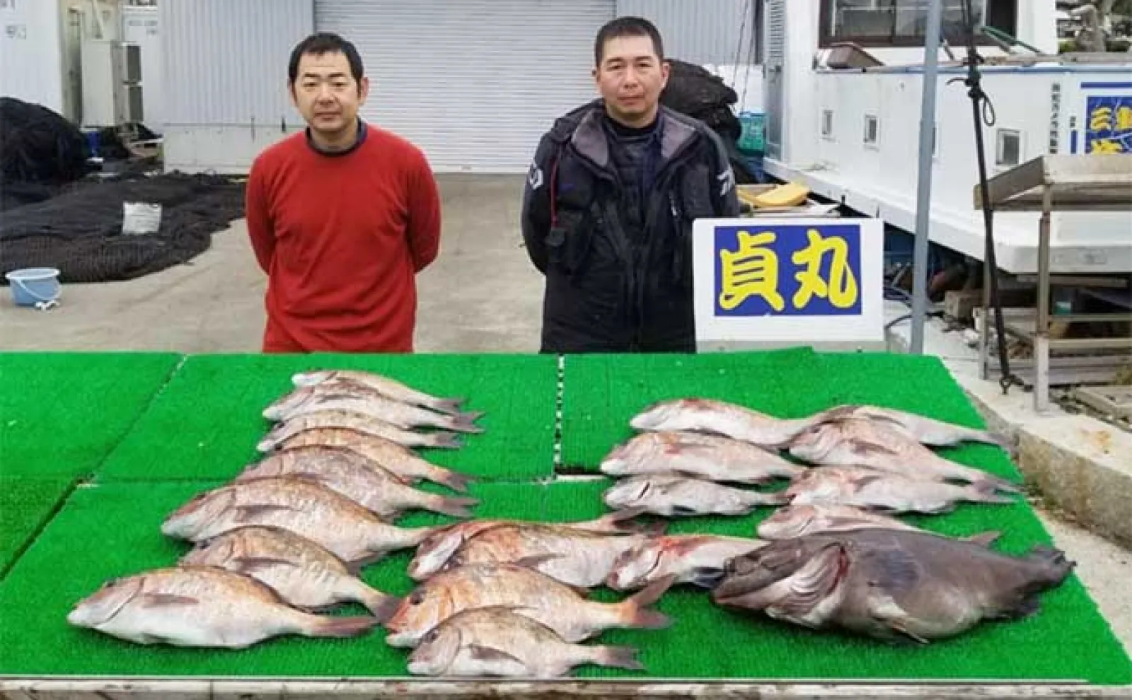 【海上釣り堀の釣果速報】マダイや青物以外にもイシダイやクロソイ顔見せ(三重・愛知)