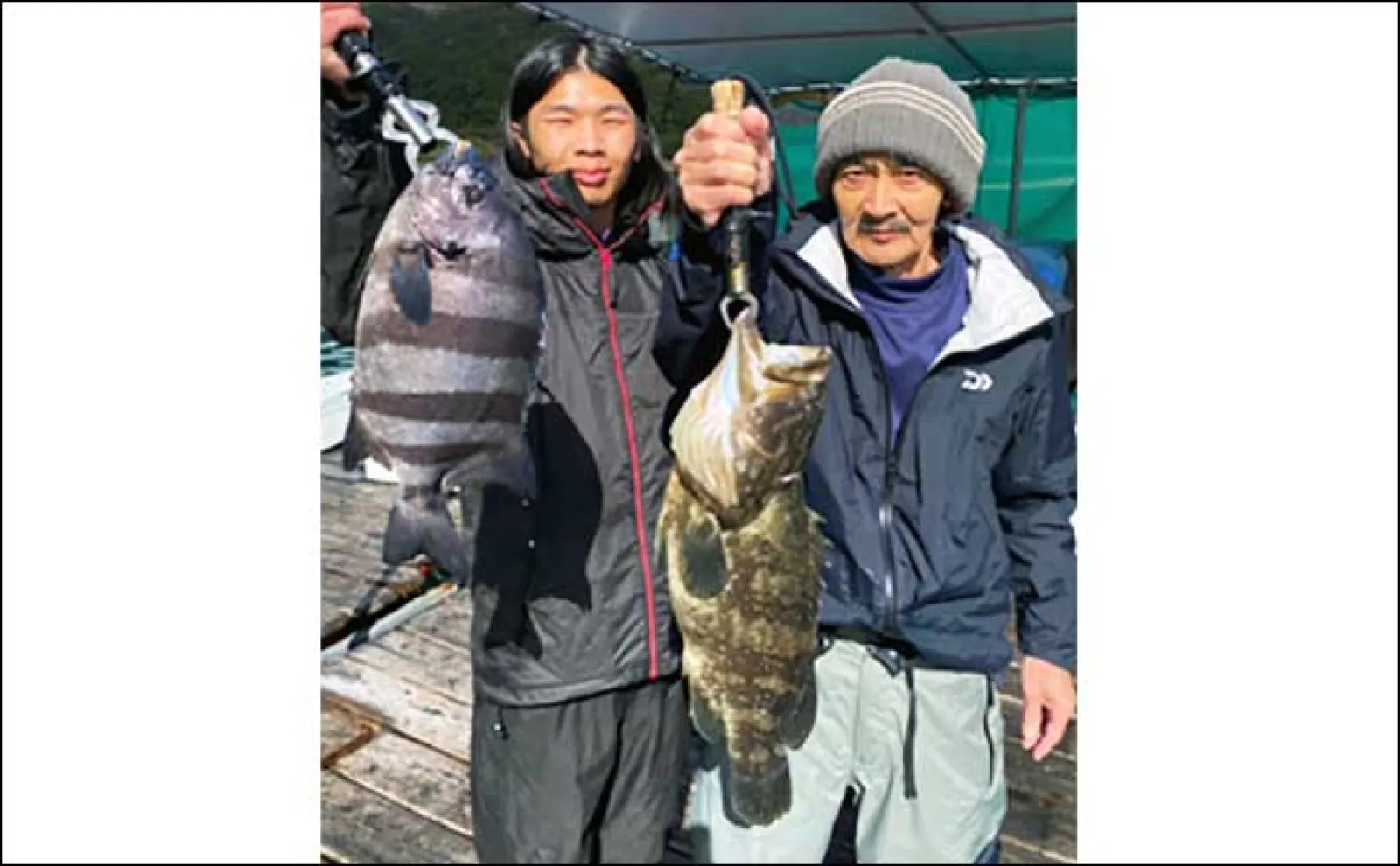 【海上釣り堀の釣果速報】マダイや青物以外にもイシダイやクロソイ顔見せ(三重・愛知)