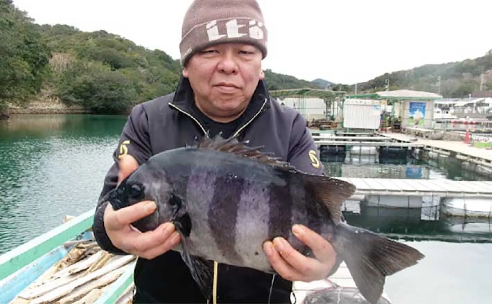 【海上釣り堀の釣果速報】マダイや青物以外にもイシダイやクロソイ顔見せ(三重・愛知)