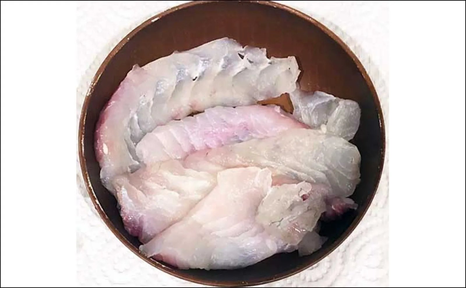 大阪南港で釣れたサカナは美味しい? 魚種によって大きく異なるのが現実