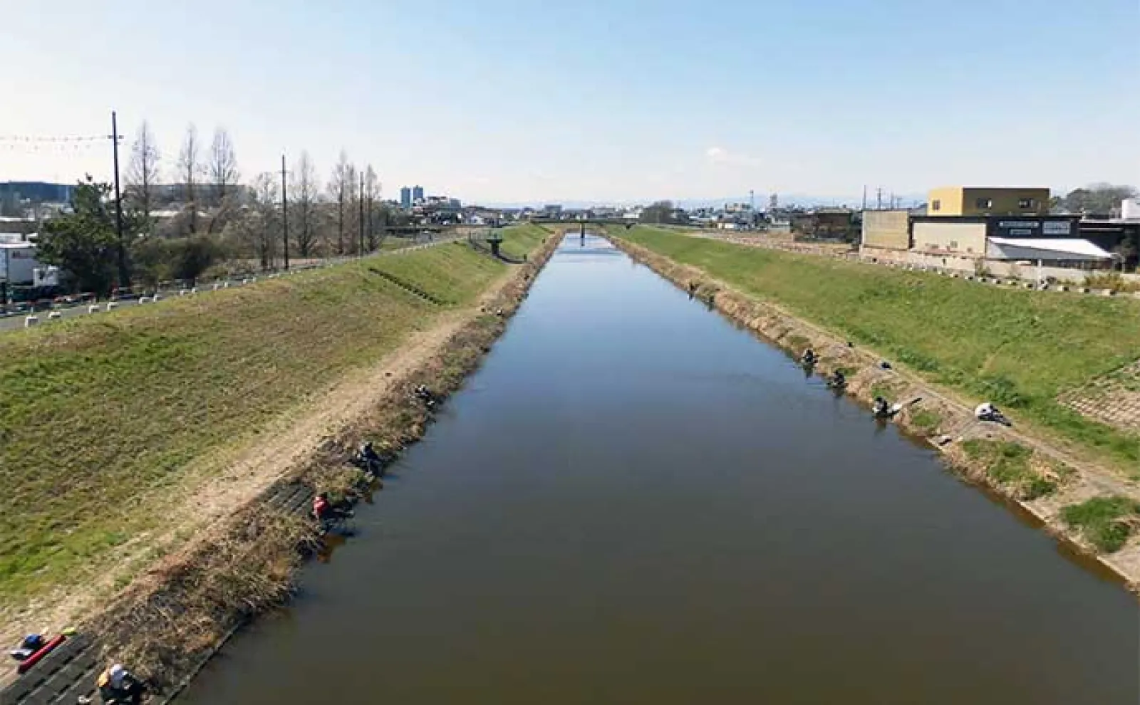 今週のヘラブナ推薦釣り場2024【埼玉・新河岸川放水路】