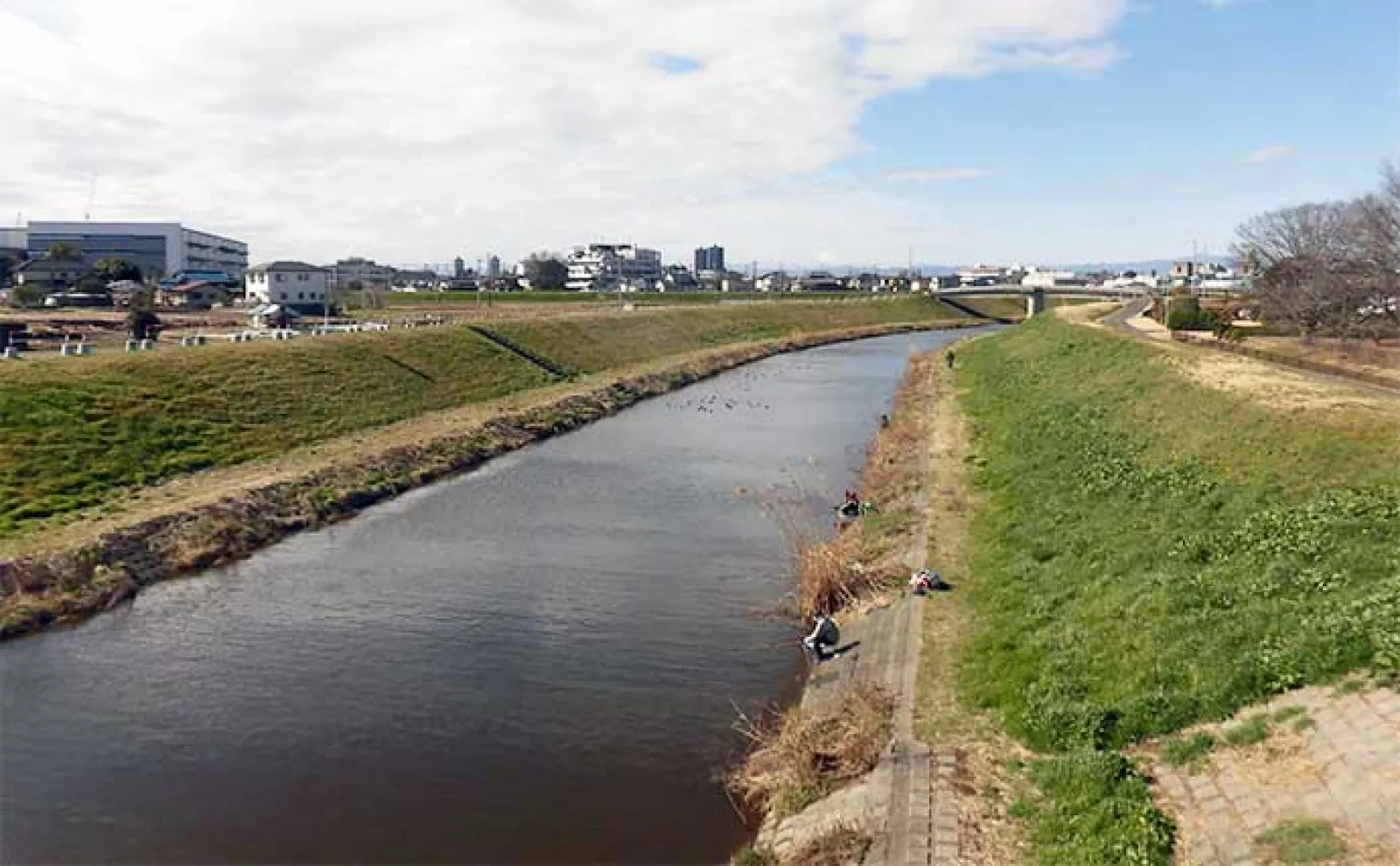 今週のヘラブナ推薦釣り場2024【埼玉・新河岸川放水路】