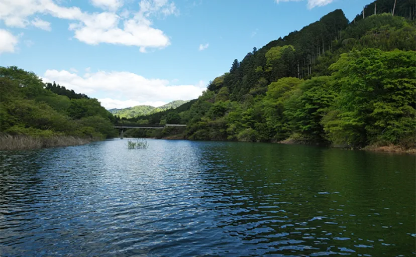 東古屋湖トラウトフィッシング入門【放流魚種・釣り可能エリア・釣り方・道具を解説】
