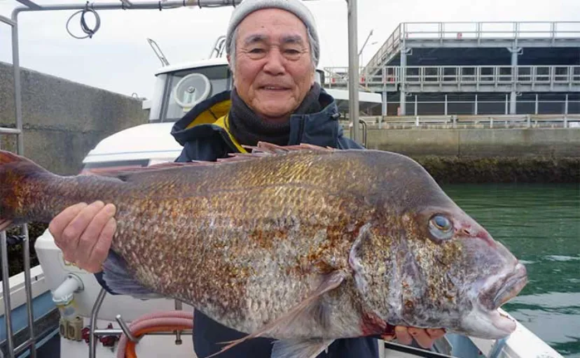 【船のルアー釣り最新釣果】玄界灘のタイラバで10kgの大ダイが堂々参上！（福岡）