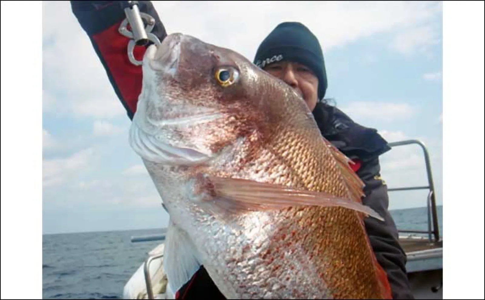 【船のルアー釣り最新釣果】玄界灘のタイラバで10kgの大ダイが堂々参上!(福岡)