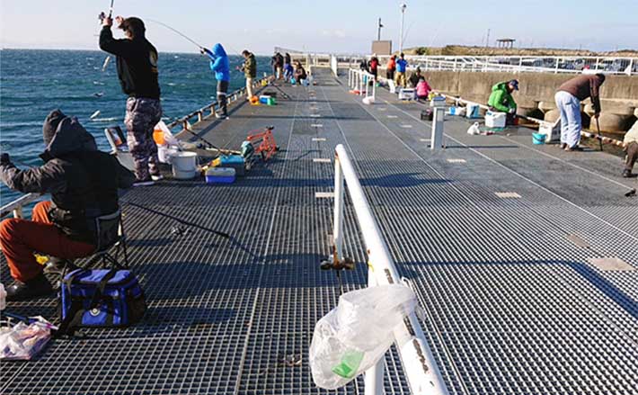 サーフルアー釣りおすすめポイント：波松海岸【福井】ターゲット豊富で