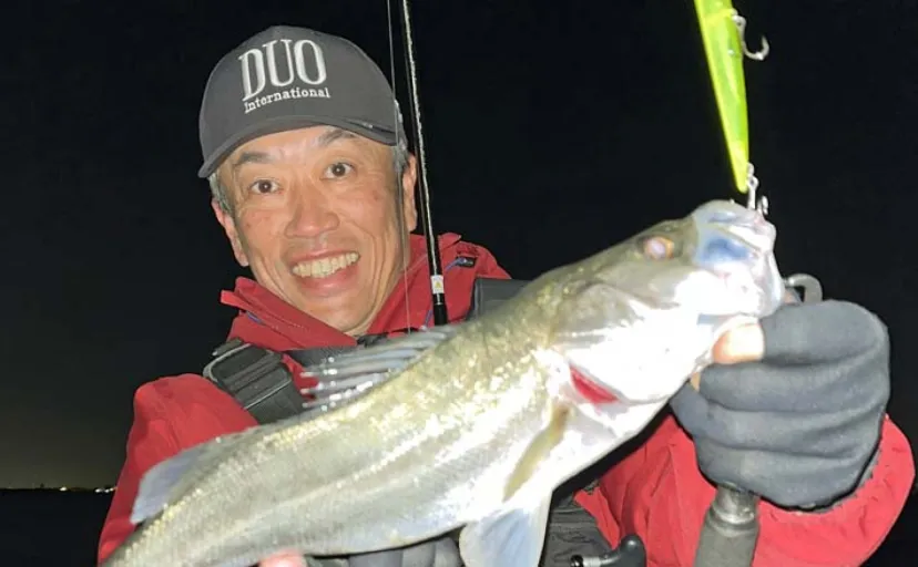 「バチ抜けパターン」ルアーシーバス釣行で45cm頭に本命4匹【愛知・半田港】