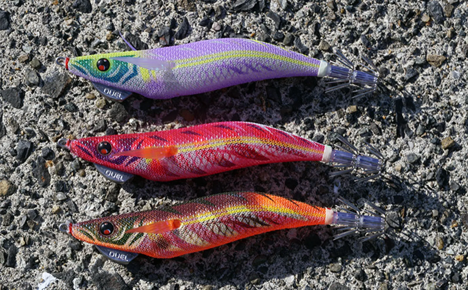 夜のエギングに特化した新色エギが新発売 月や藻の有無で誰でも迷わずエギ選びが出来る!