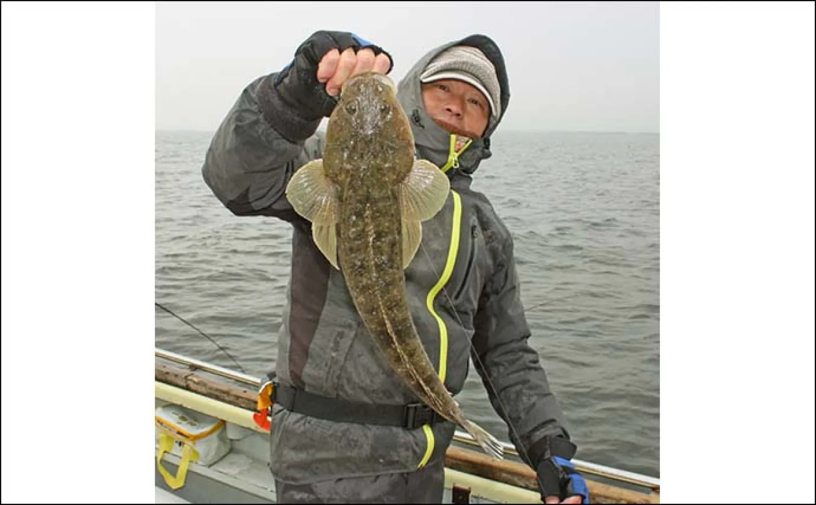 東京湾の船マゴチ釣りで54cm頭に釣る人5尾【新明丸】エサはサイマキエビ