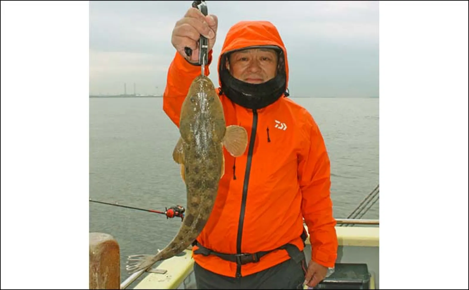 東京湾の船マゴチ釣りで54cm頭に釣る人5尾【新明丸】エサはサイマキエビ