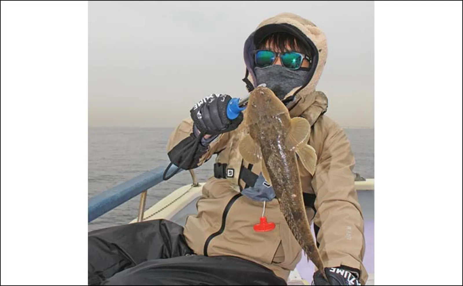 東京湾の船マゴチ釣りで54cm頭に釣る人5尾【新明丸】エサはサイマキエビ