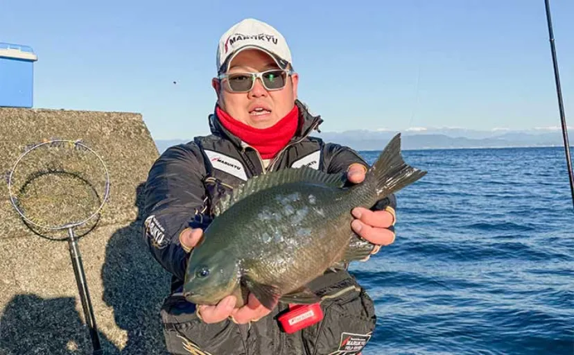 堤防フカセ釣りで41cmメジナ手中【沼津・静岡】ゲストに25cmカワハギも顔見せ