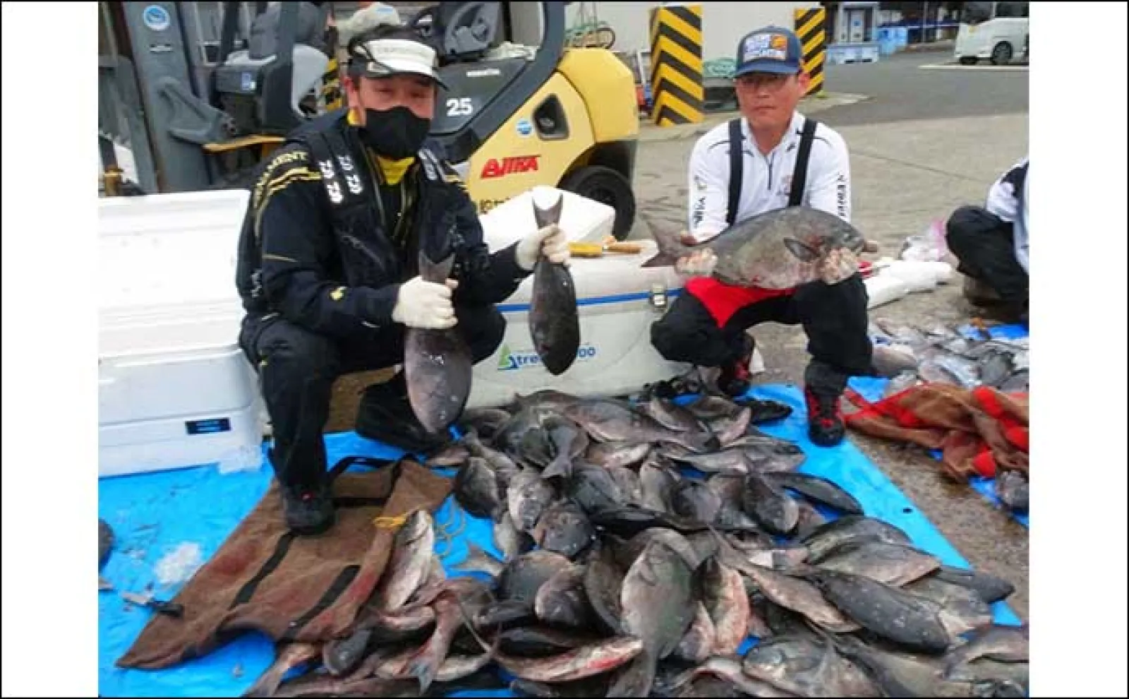 【釣果速報】ジグング初挑戦で9kg超えヒラマサをキャッチ!(長崎・佐賀)