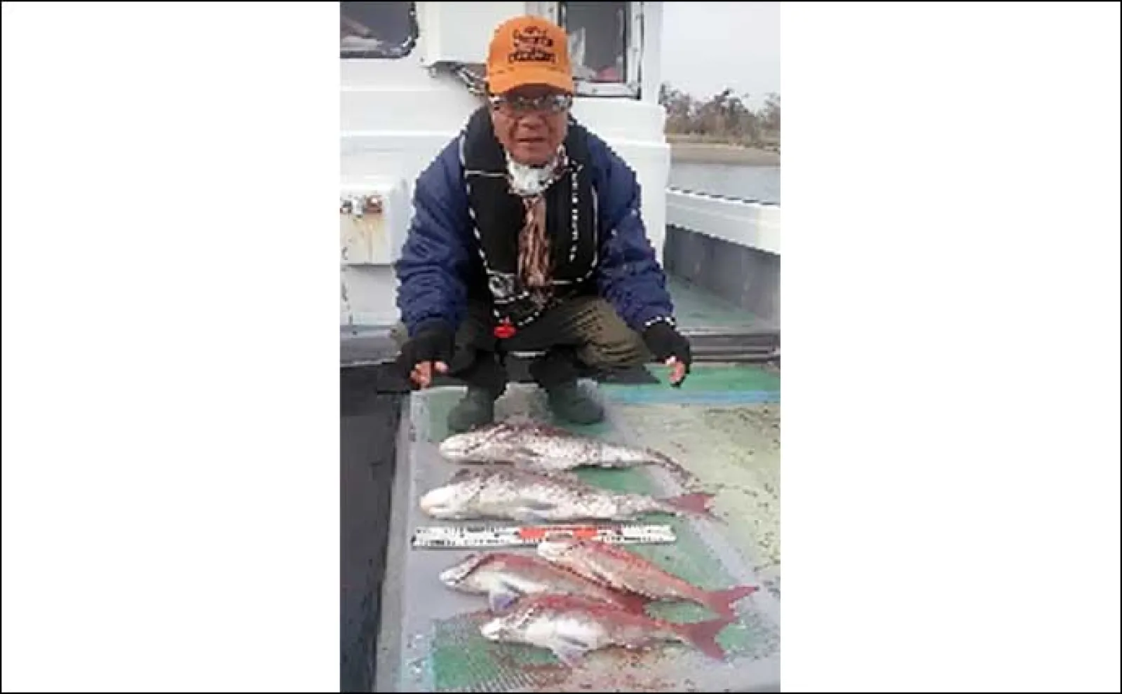 【釣果速報】島原沖タチウオ釣りでドラゴン級含め数釣りチャンス(大分・熊本)