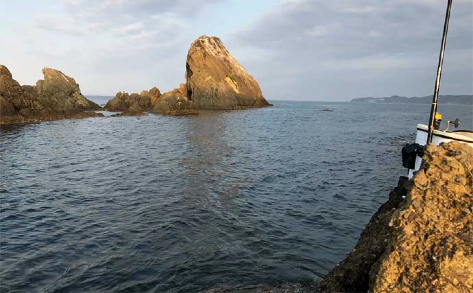 沖磯チヌフカセ釣り開幕戦で50cm「年無し」手中【和歌山】居着きの個体がメインか