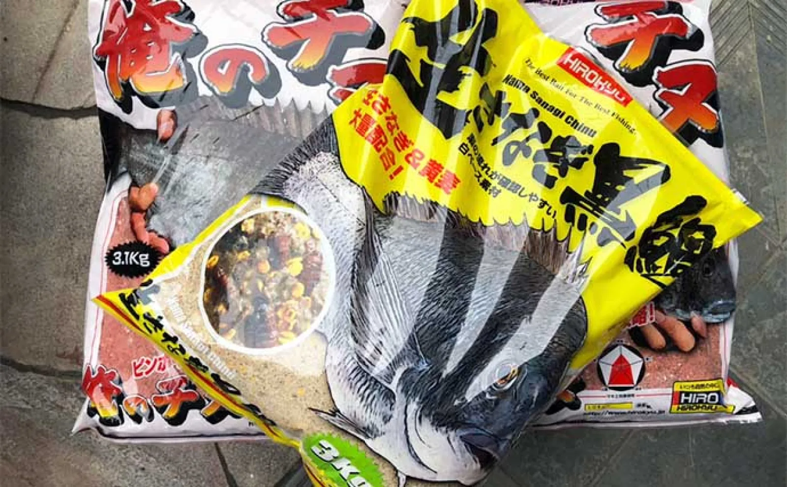 沖磯チヌフカセ釣り開幕戦で50cm「年無し」手中【和歌山】居着きの個体がメインか