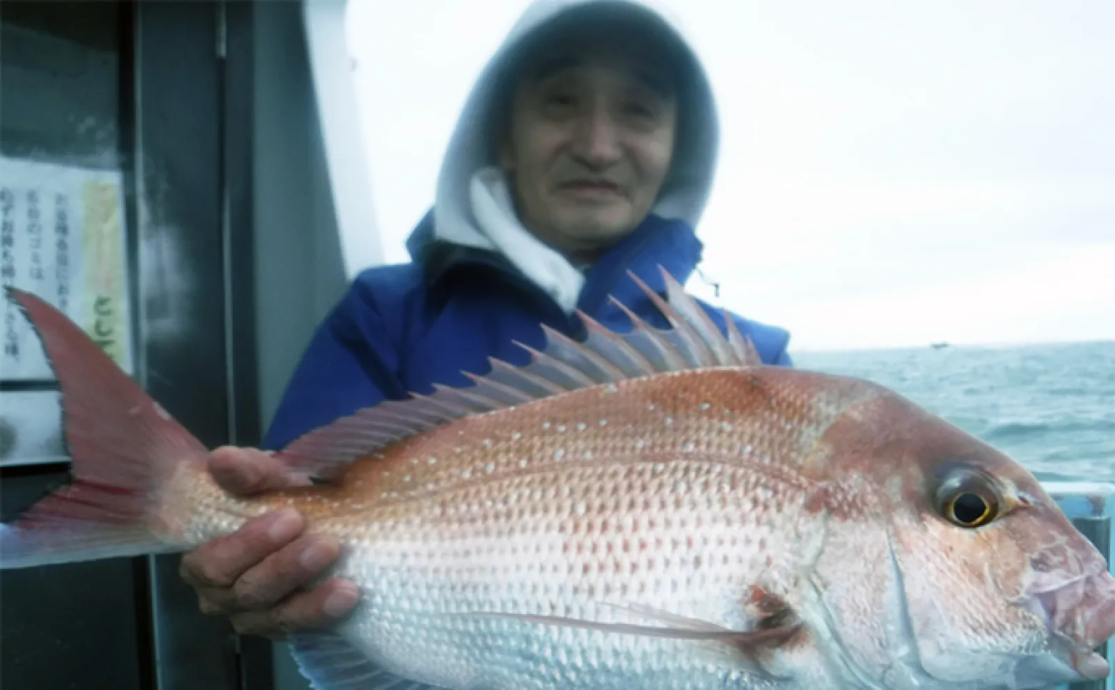 【船釣り釣果速報】タイラバでマダイが順調にヒット中!(愛知)