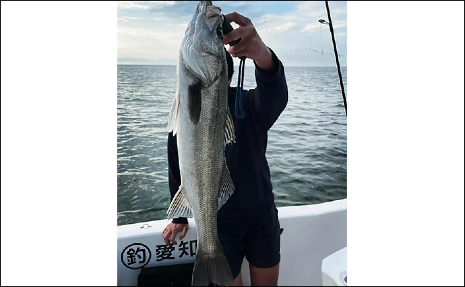 【船釣り釣果速報】タイラバでマダイが順調にヒット中!(愛知)