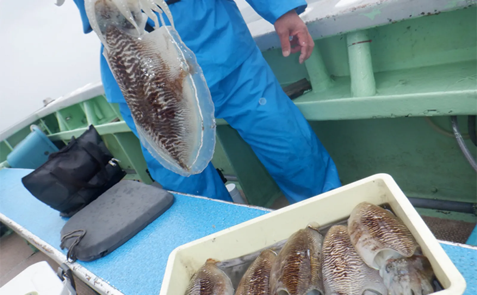 【船釣り釣果速報】タイラバでマダイが順調にヒット中!(愛知)