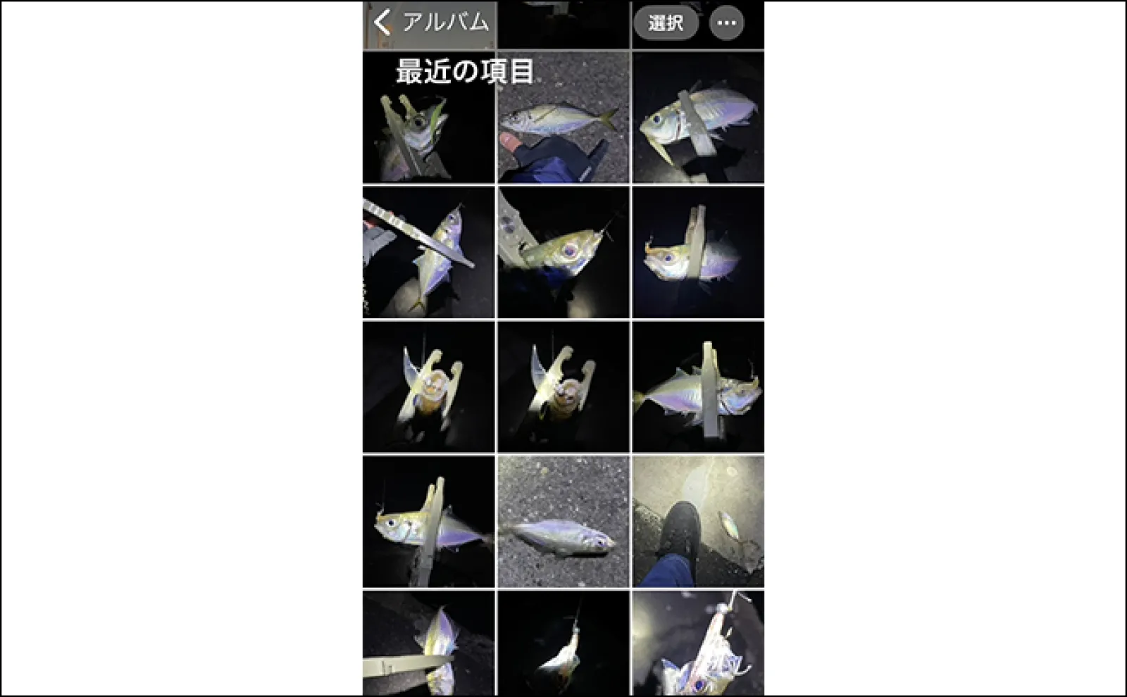 釣り人的【日常生活アルアル】 携帯電話のバイブレーションにアワセを入れてしまう?